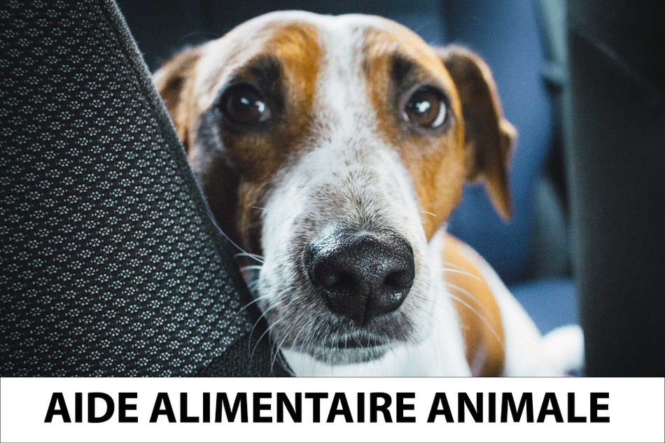 aide alimentaire