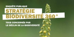AVIS D’ENQUÊTE PUBLIQUE :  LA STRATÉGIE BIODIVERSITÉ 360°