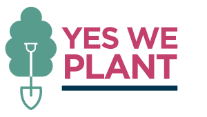 yes we plant 0